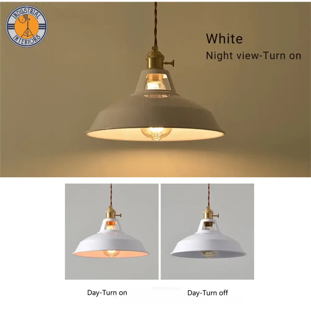 Iron Pendant Colorful Hanging Light Lighting