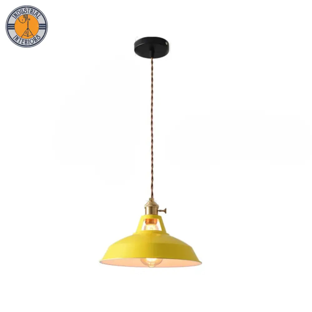 Iron Pendant Colorful Hanging Light Lighting