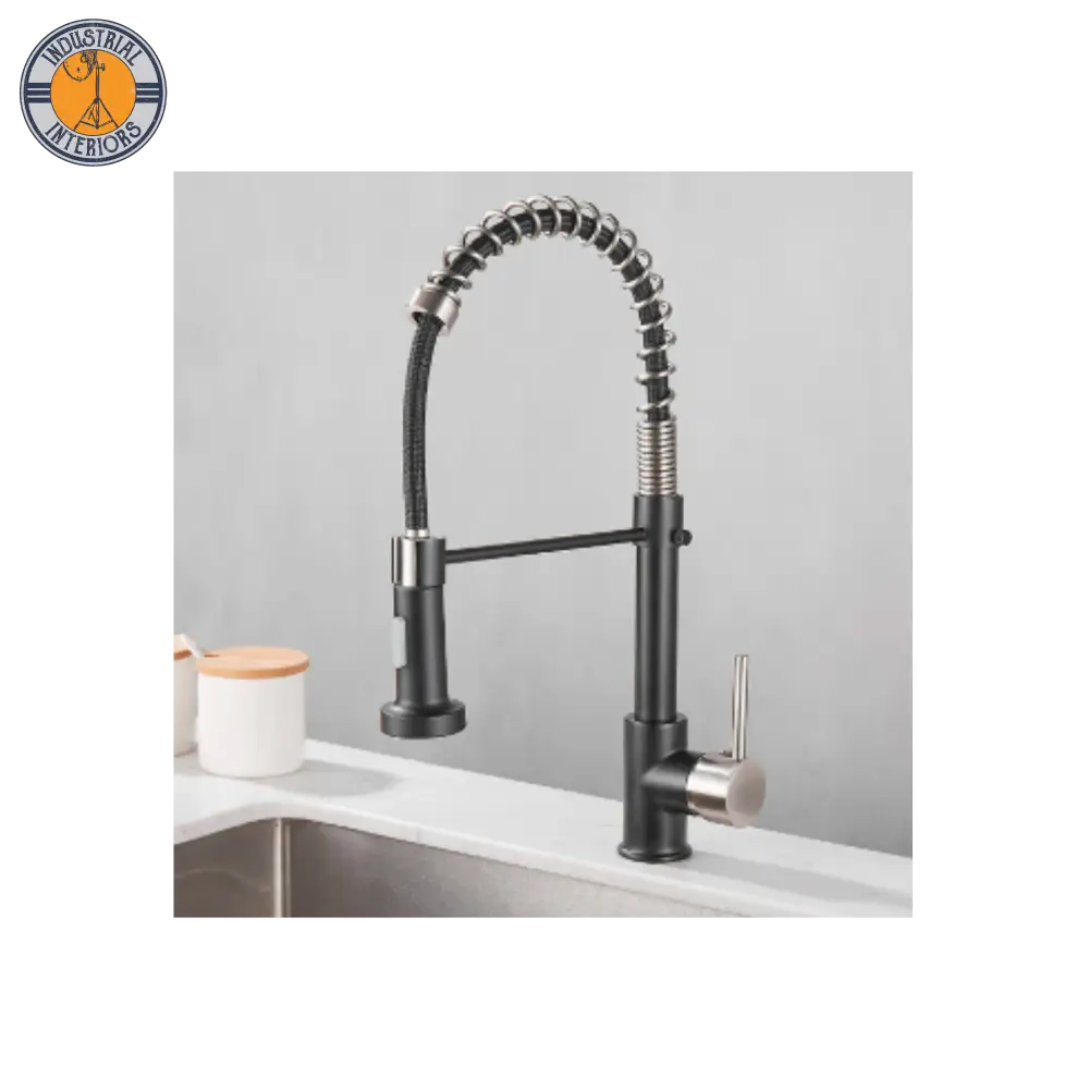 Adjustable Kitchen Faucet Style 4