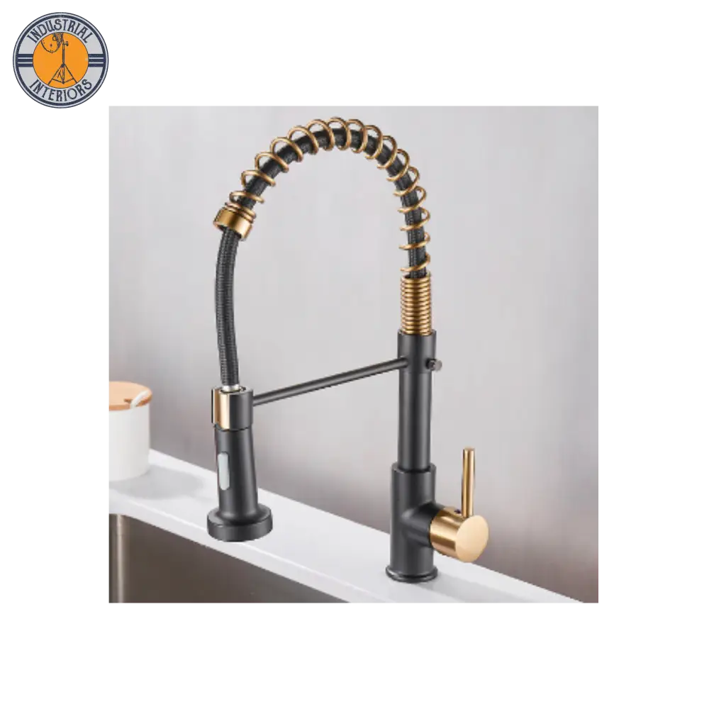 Adjustable Kitchen Faucet Style 5