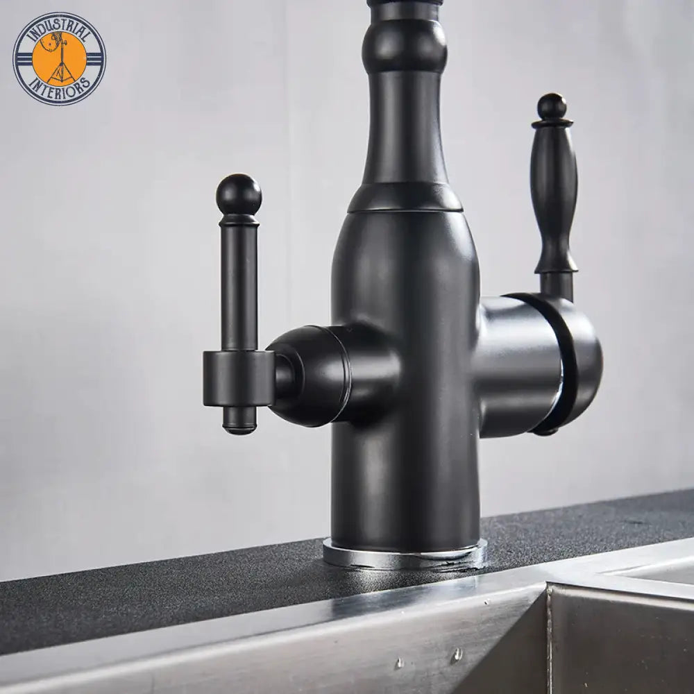 Matte Black Kitchen Sink Faucet Pure Water Filter Drink Mixer Tap Dual Handles Two Spout Bathroom