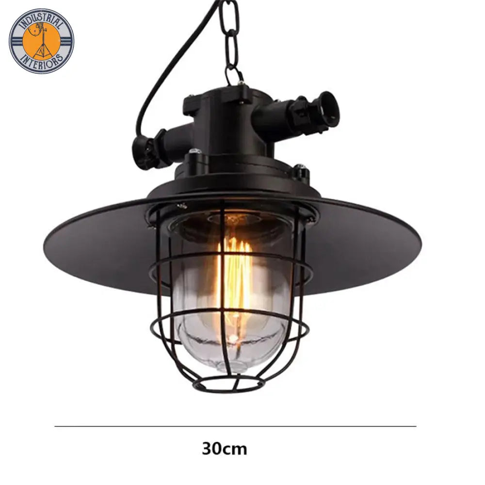 Loft Industrial Retro Iron Pendant Light /Home Hanging Lamp 18