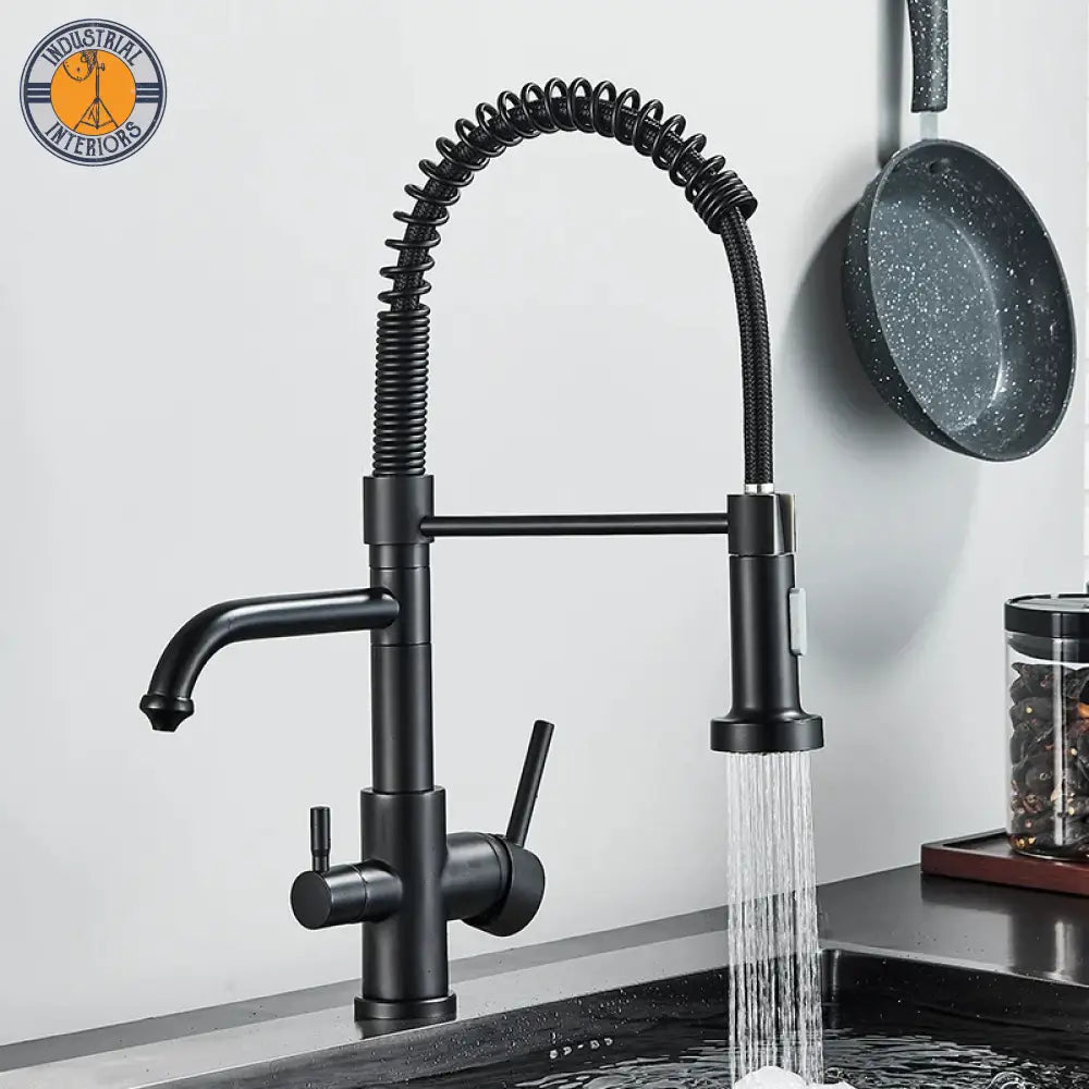 Matte Black Kitchen Filtered Faucet 360 Rotation Mixer Type A-Matte