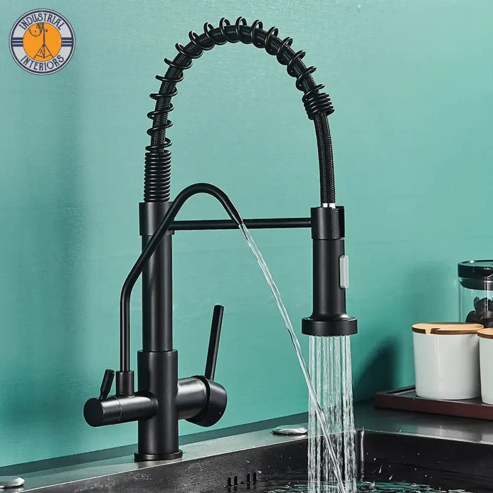 Matte Black Kitchen Filtered Faucet 360 Rotation Mixer Type B-Matte